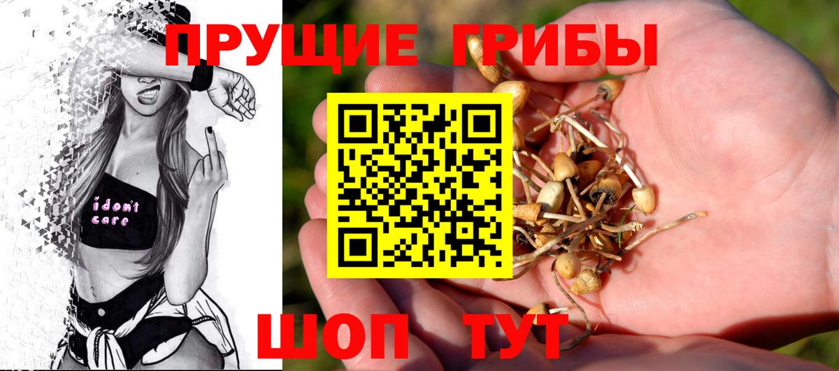 Галлюциногенные грибы мухоморы Кушва